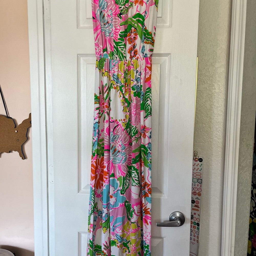 Lilly Pulitzer for target Floral Maxi Dress in Pink and Green